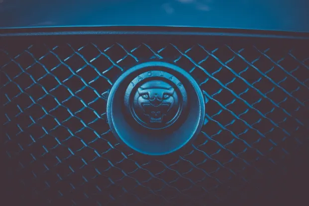 클레오파트라 카지노 안드로이드/iOS 앱